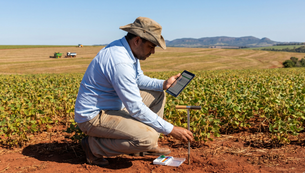 25